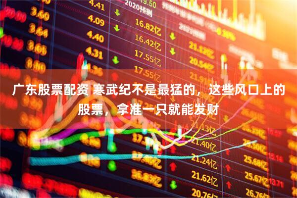广东股票配资 寒武纪不是最猛的，这些风口上的股票，拿准一只就能发财