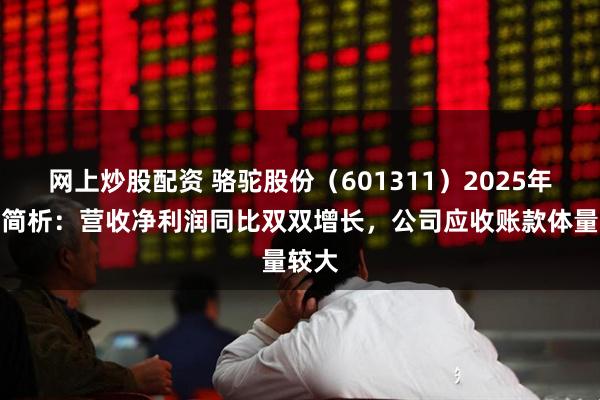 网上炒股配资 骆驼股份（601311）2025年中报简析：营收净利润同比双双增长，公司应收账款体量较大
