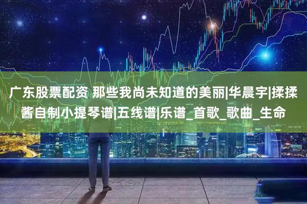 广东股票配资 那些我尚未知道的美丽|华晨宇|揉揉酱自制小提琴谱|五线谱|乐谱_首歌_歌曲_生命