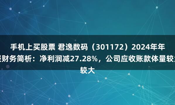 手机上买股票 君逸数码（301172）2024年年报财务简析：净利润减27.28%，公司应收账款体量较大