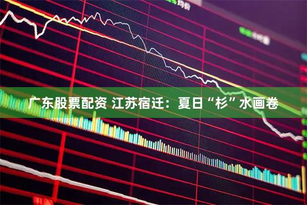 广东股票配资 江苏宿迁：夏日“杉”水画卷