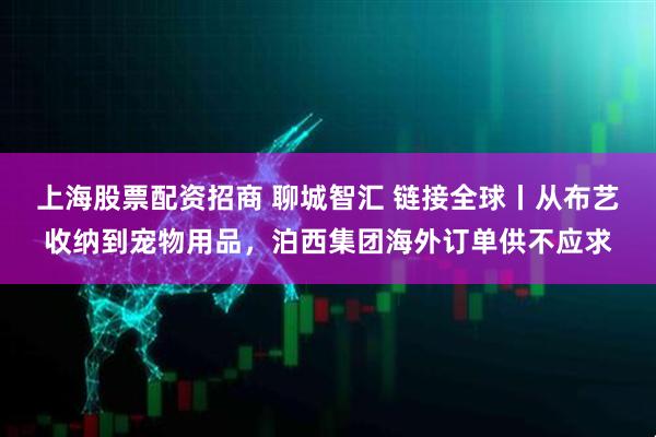上海股票配资招商 聊城智汇 链接全球丨从布艺收纳到宠物用品，泊西集团海外订单供不应求